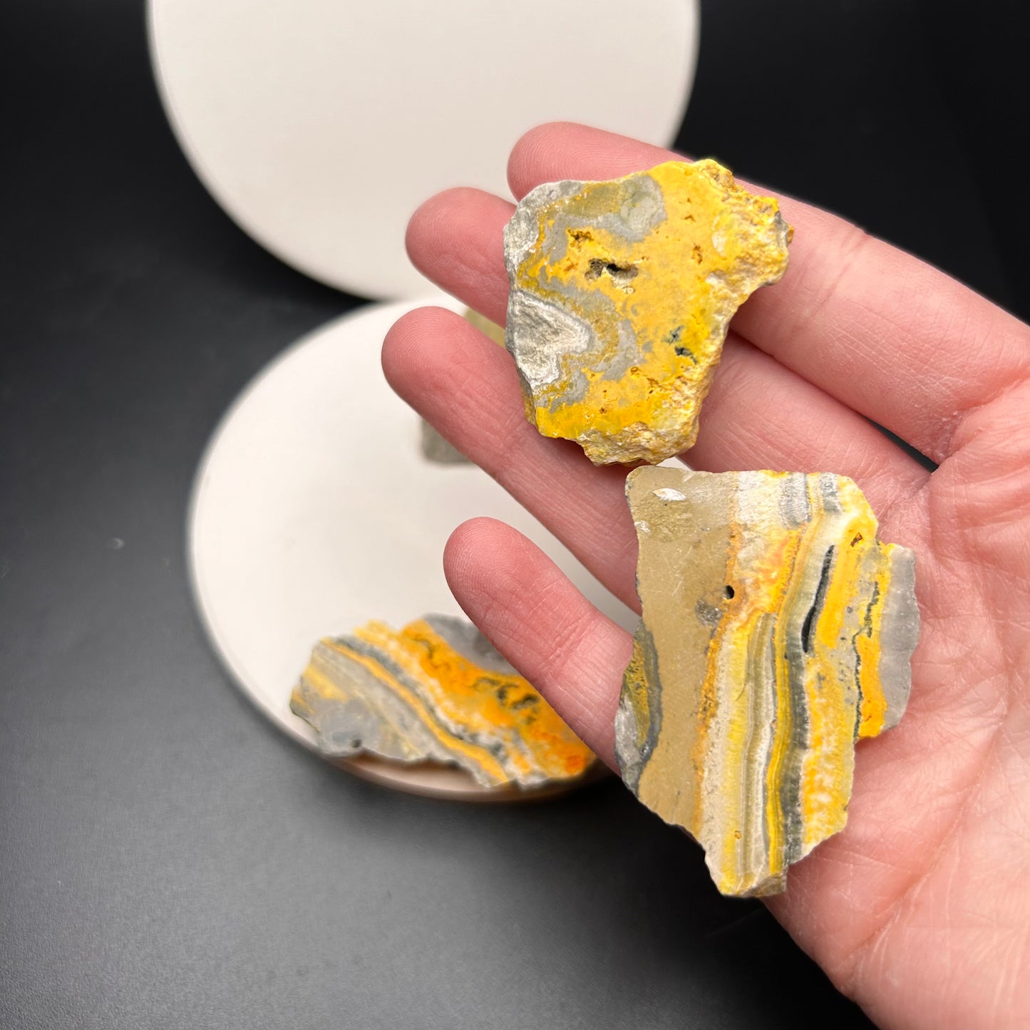 GENUINE Bumble Bee Jasper Mini Slabs