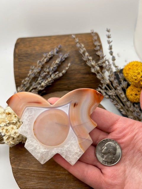LARGE Banded Agate Butterflies