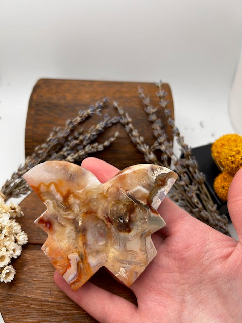 LARGE Banded Agate Butterflies