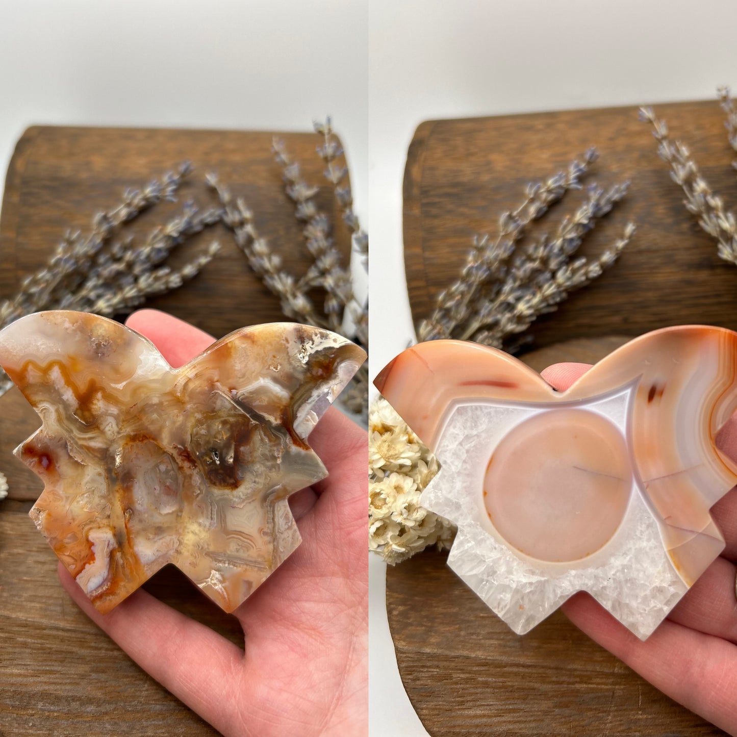 LARGE Banded Agate Butterflies
