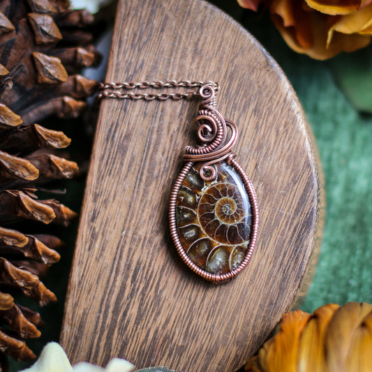 Rare Natural Large Ammonite Fossil & Aged Copper Necklace